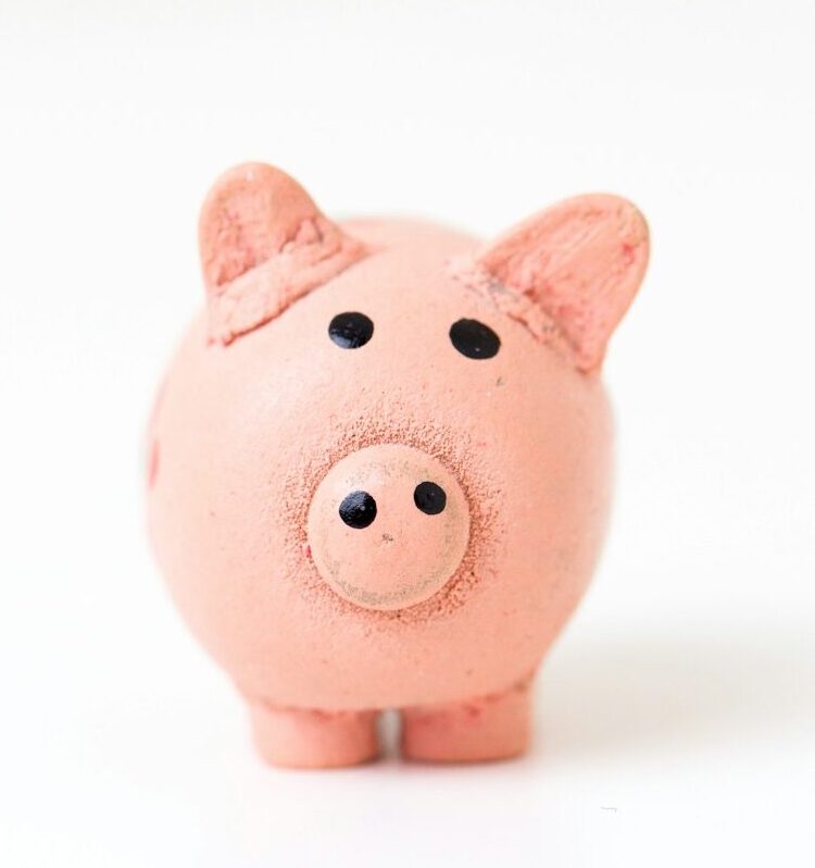 pink pig figurine on white surface